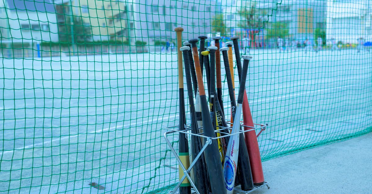 Economic Impact of Professional Sports