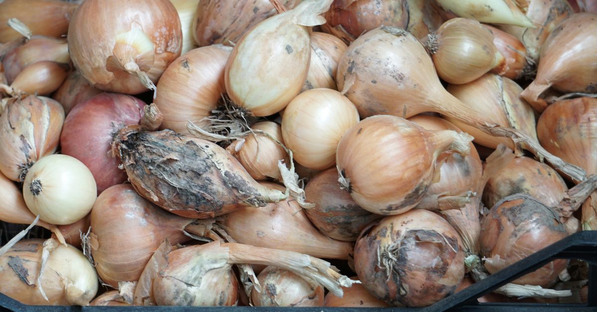 French Onion Soup Recipes Rich and Flavorful