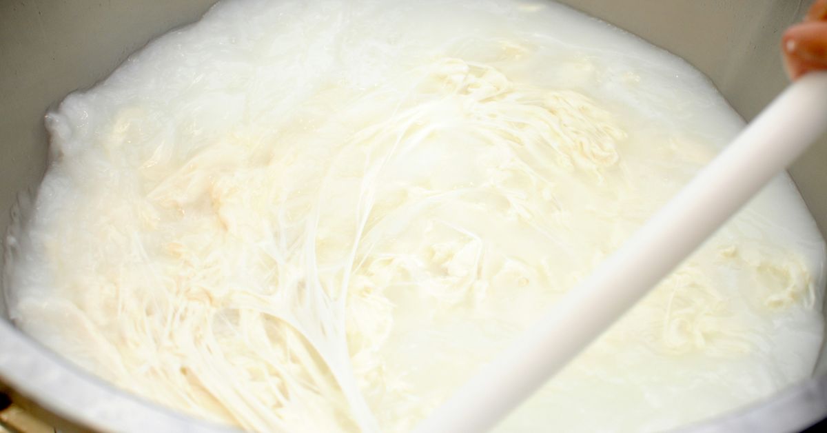 Hummus Recipes Creamy and Nutritious