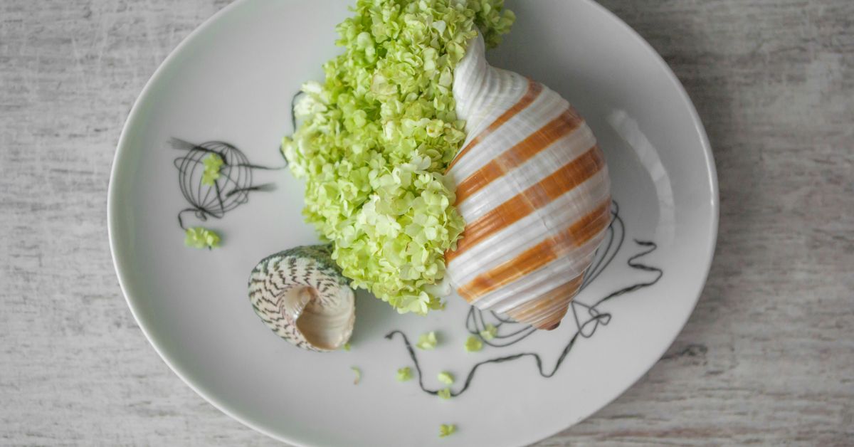 Potato Salad Recipes Classic and Creative