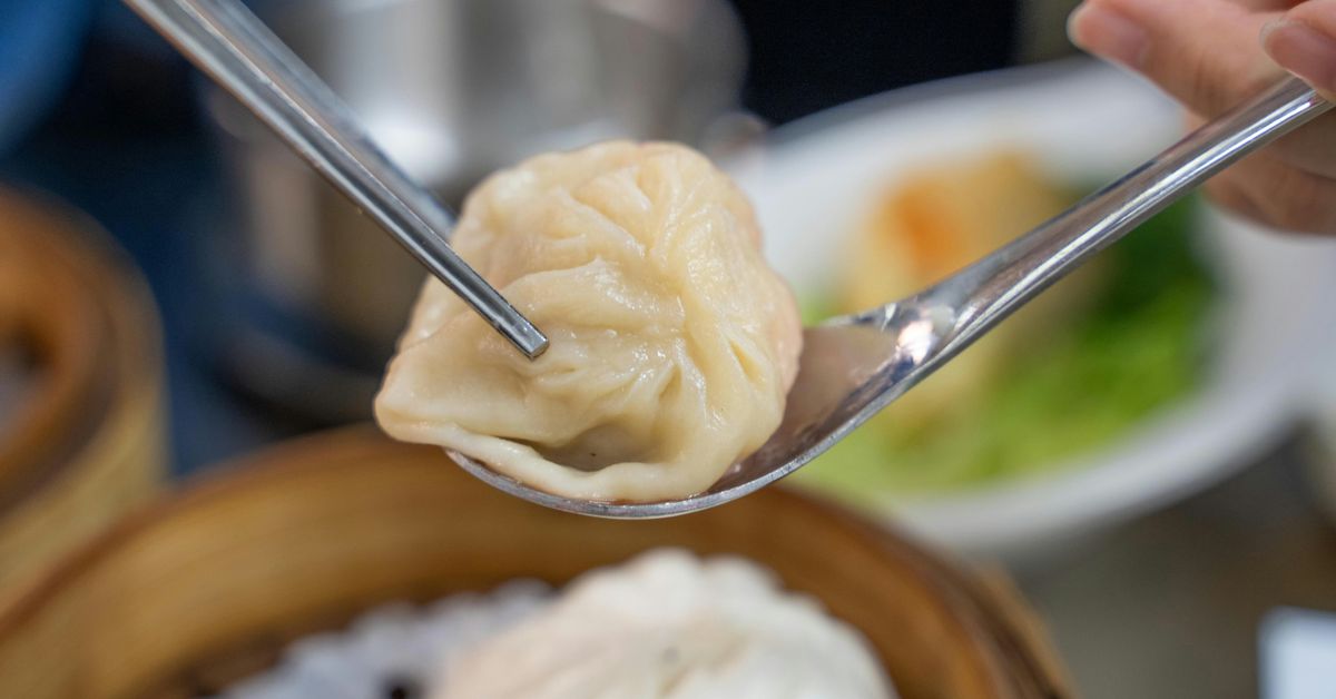 Asian Dumpling Recipes Delicious and Authentic